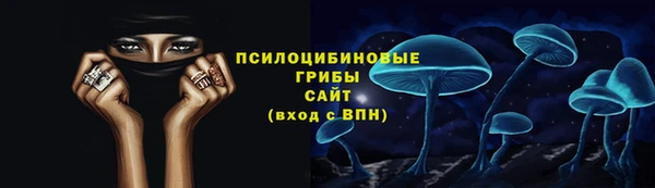 прущий лед Фёдоровский