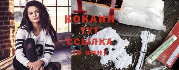 прущий лед Фёдоровский