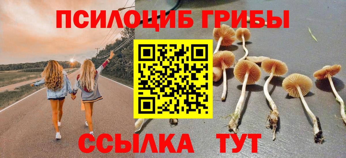 Галлюциногенные грибы MAGIC MUSHROOMS Балахна