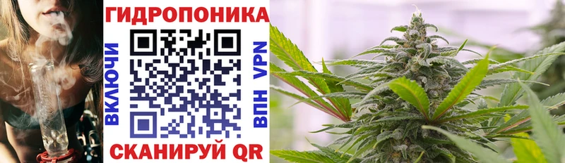где купить наркоту Балахна Шишки марихуана Amnesia